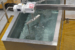 dairy-vats-4