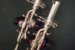 depositors-and-extruders-g
