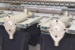 associated-powder-blending-equipment-f