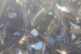 pharmaceutical-process-tanks-and-vessels-d