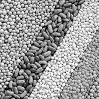 Food Industry - Stainless Tank & Mix
